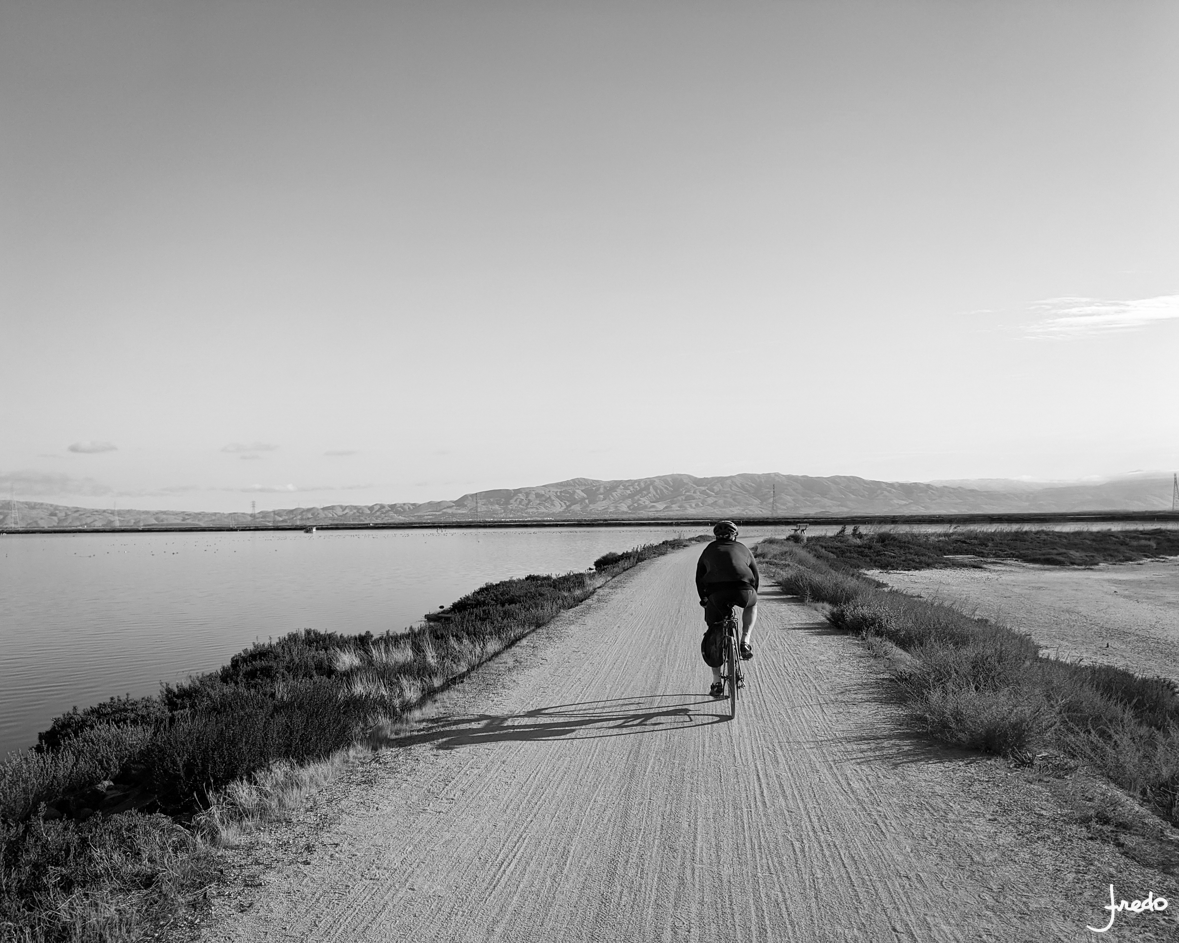 Biking by the Bay.jpg